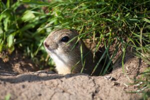 地盤調査の立会いで注意すべきポイントは？
