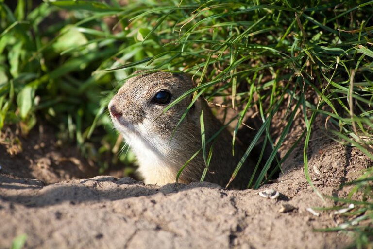 地盤調査の立会いで注意すべきポイントは？