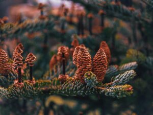 4sldkのsとは何を意味するのか？