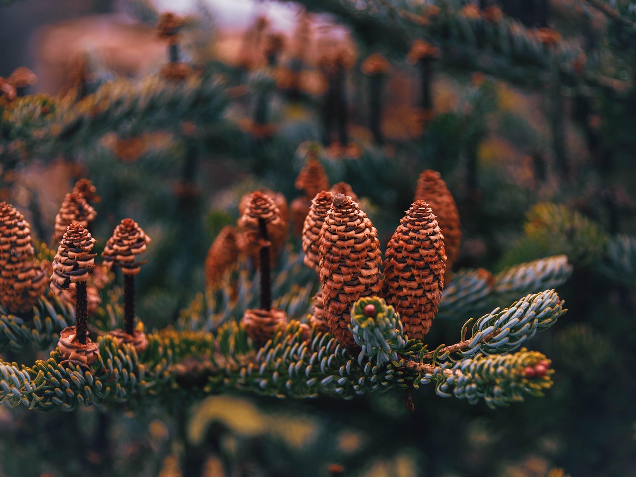 4sldkのsとは何を意味するのか？