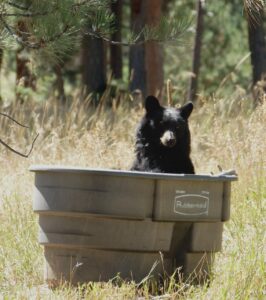 お風呂のグレードを選ぶ際に考慮すべきポイントは？