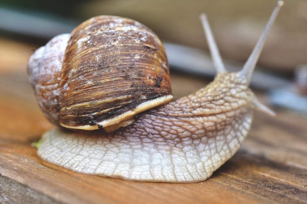 注文住宅の補助金を利用する際の注意点は？