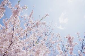 札幌で注文住宅を建てる際の予算の目安は？