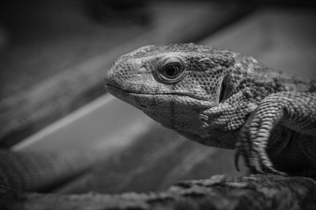 坪単価を安くする方法は本当にある？