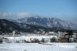 埼玉の注文住宅相場はどれくらい？理想のプランを見つけるためのポイントとは？