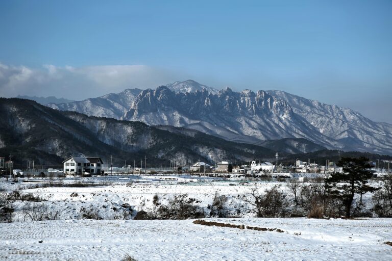 埼玉の注文住宅相場はどれくらい？理想のプランを見つけるためのポイントとは？